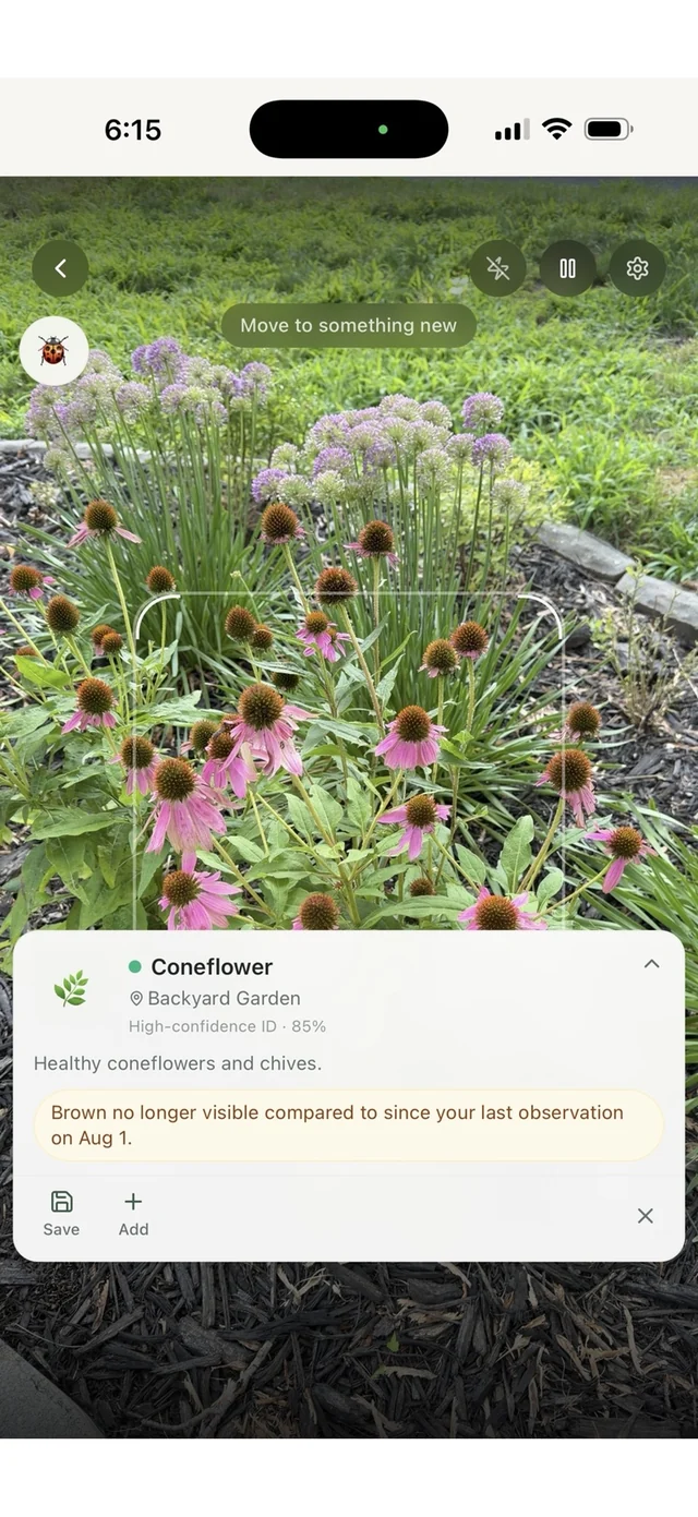 Garden Days Live Live Explore identifying a coneflower while the camera remains open